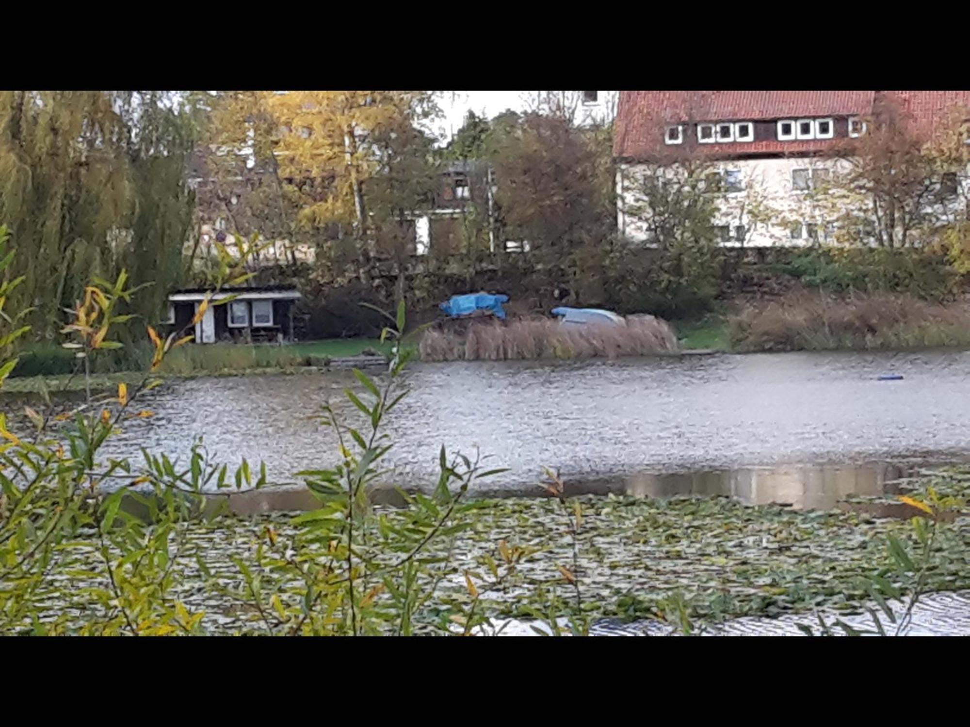 Neu! Ferienwohnung Teichblick In Bad Grund Bagian luar foto